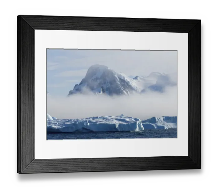 Framed Print : adelie penguins, Pygoscelis Adeliae, on glacial ice along the western Antarctic Peninsula Framed Print : adelie penguins, Pygoscelis Adeliae, on glacial ice along the western Antarctic Peninsula