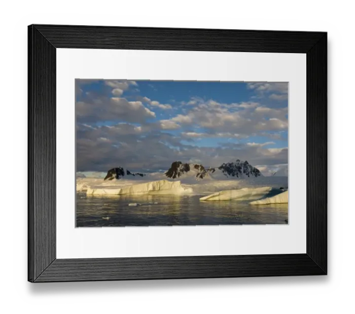 Framed Print : frozen glacial mountain landscape along the western Antarctic peninsula, Antarctica Framed Print : frozen glacial mountain landscape along the western Antarctic peninsula, Antarctica