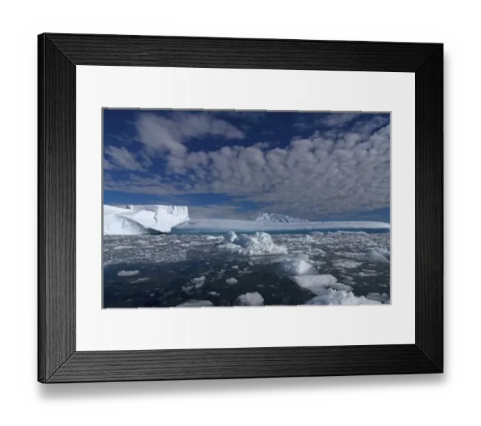 Framed Print : icebergs along the western Antarctic peninsula, Antarctica, Southern Ocean