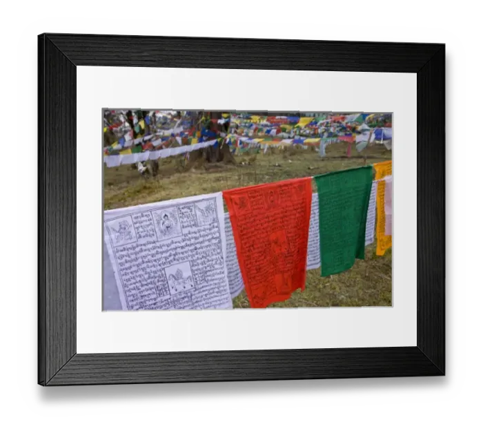 Framed Print : Bhutan, Dochu La. Prayer flags cover the hillside forest atop the pass Framed Print : Bhutan, Dochu La. Prayer flags cover the hillside forest atop the pass