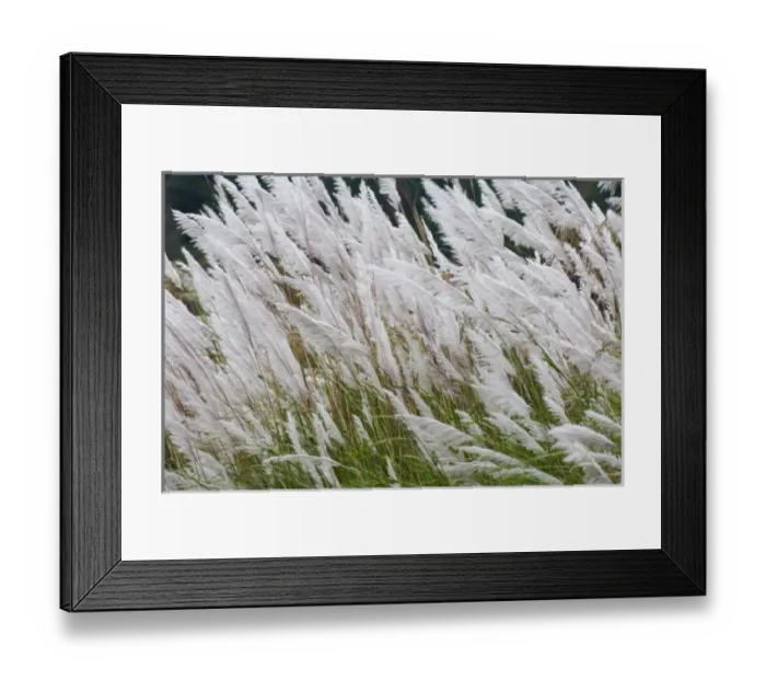 Framed Print : Asia, Bhutan Framed Print : Asia, Bhutan