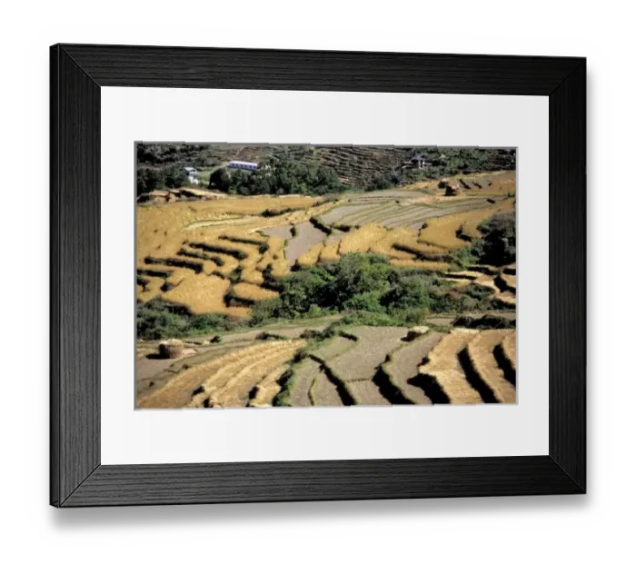 Framed Print : Asia, Bhutan Framed Print : Asia, Bhutan