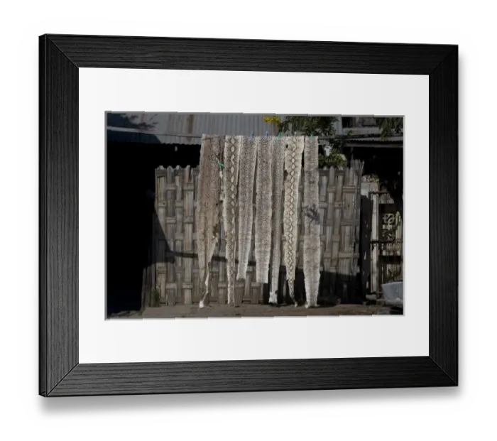 Framed Print : Snake skin, Mandalay, Myanmar, Asia Framed Print : Snake skin, Mandalay, Myanmar, Asia