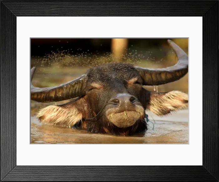 Framed Print : Asia, Myanmar, Burma Framed Print : Asia, Myanmar, Burma