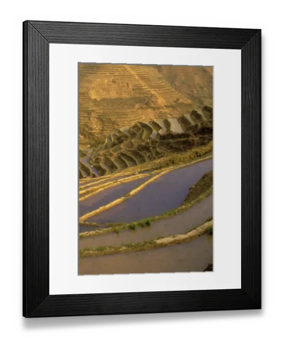 Framed Print : Asia, China, Yunnan Province, Honghe Region, Luchun. Flooded rice terraces cascade Framed Print : Asia, China, Yunnan Province, Honghe Region, Luchun. Flooded rice terraces cascade