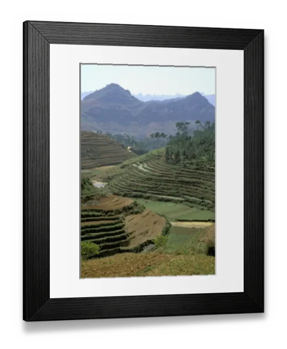 Framed Print : Asia, China, Yunnan Province, Yuanyang Co. Flooded rice terraces cover Mount Ailo Framed Print : Asia, China, Yunnan Province, Yuanyang Co. Flooded rice terraces cover Mount Ailo