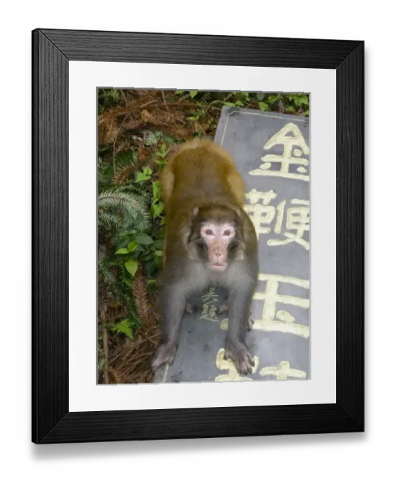 Framed Print : Asia, China