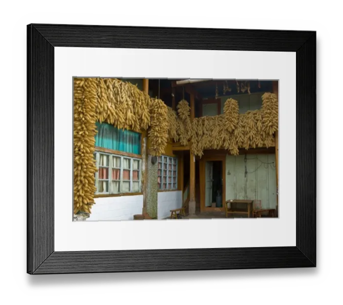 Framed Print : Asia, China, Yunnan Province, Shiping. Clusters of dried corn hangs in couryard of Framed Print : Asia, China, Yunnan Province, Shiping. Clusters of dried corn hangs in couryard of
