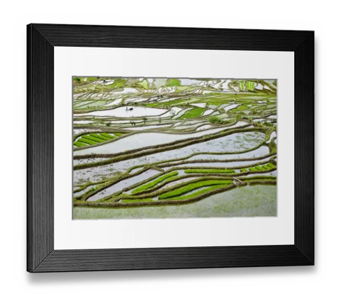 Framed Print : Asia, China