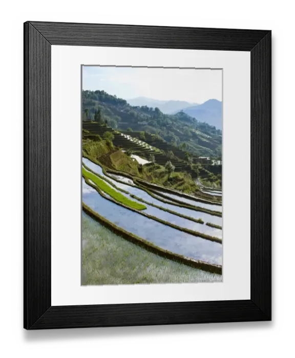 Framed Print : Asia, China