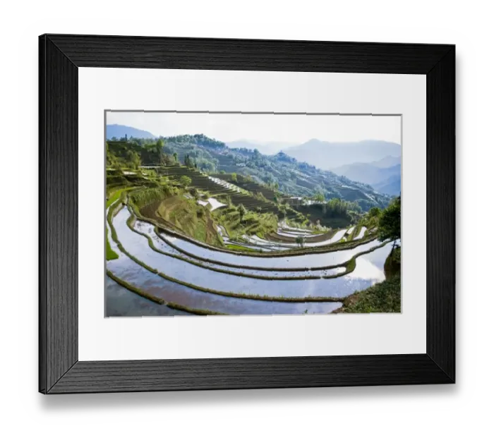 Framed Print : Asia, China, Yunnan Province, Yuanyang County. Sun reflects off flooded Laohu Zui Framed Print : Asia, China, Yunnan Province, Yuanyang County. Sun reflects off flooded Laohu Zui