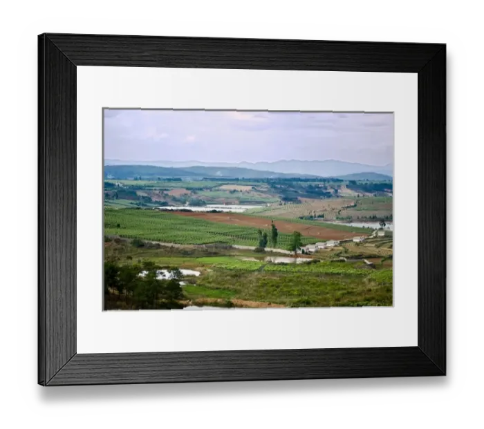 Framed Print : Asia, China, Yunnan Province, Mile County. Vineyards near the Yunnan Red Wine Chateau winery