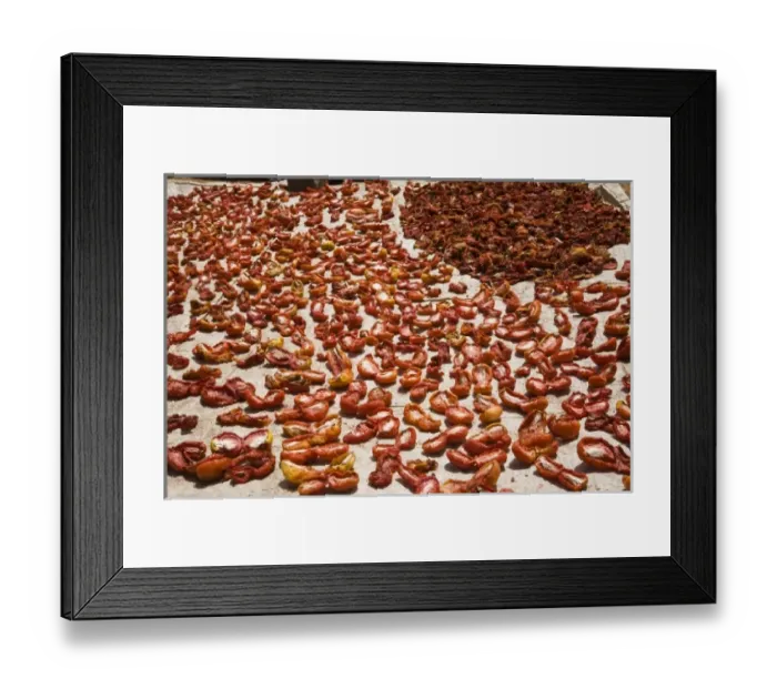 Framed Print : Africa, West Africa, Ghana, Tongo. Tomatoes drying in courtyard of traditional mud dwelling Framed Print : Africa, West Africa, Ghana, Tongo. Tomatoes drying in courtyard of traditional mud dwelling
