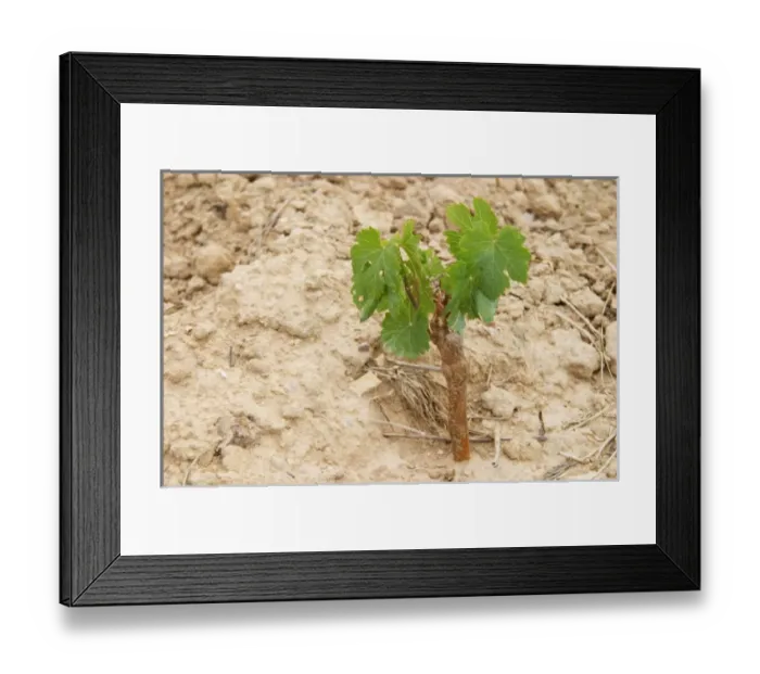 Framed Print : Europe, France
