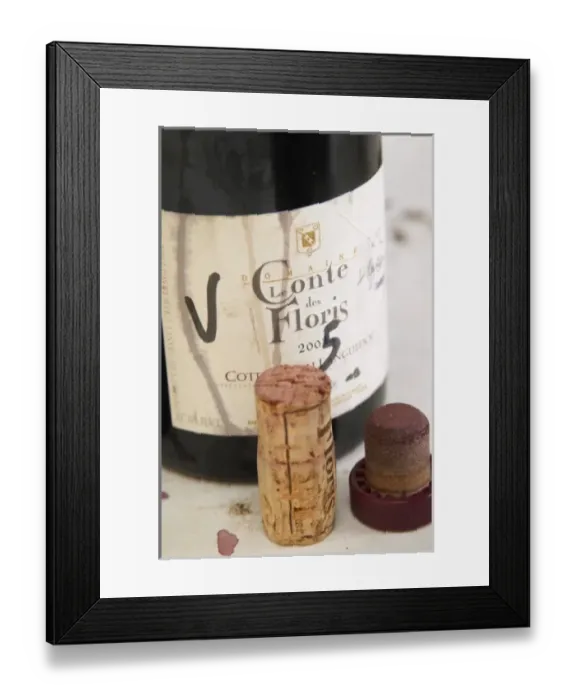 Framed Print : Europe, France Framed Print : Europe, France