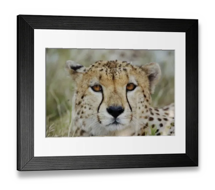 Framed Print : Africa, Kenya Framed Print : Africa, Kenya