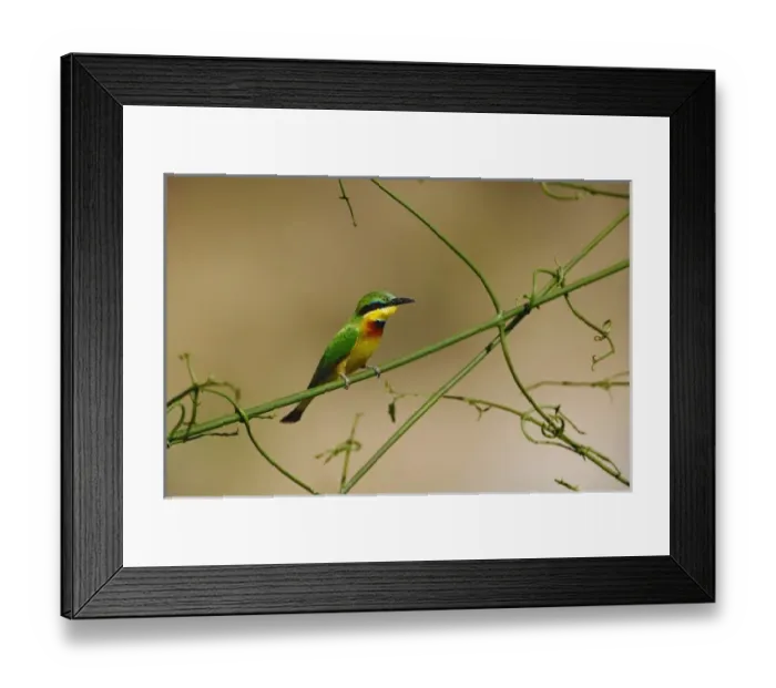 Framed Print : Africa, Kenya