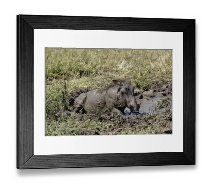 Framed Print : Africa, Kenya Framed Print : Africa, Kenya