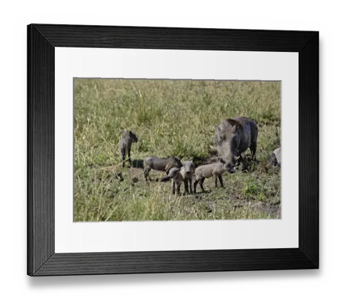 Framed Print : Africa, Kenya