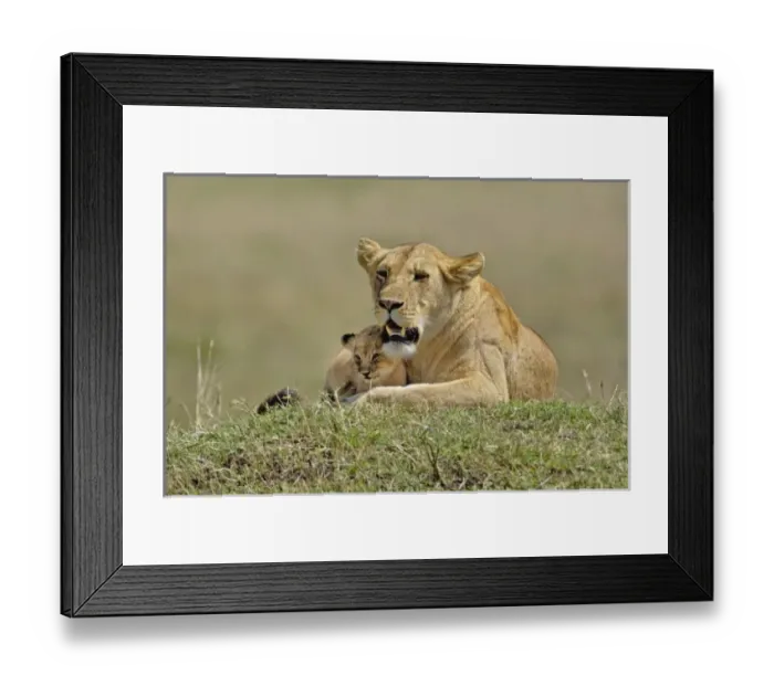 Framed Print : Africa, Kenya