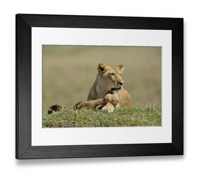 Framed Print : Africa, Kenya