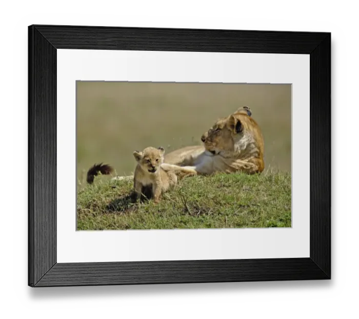 Framed Print : Africa, Kenya