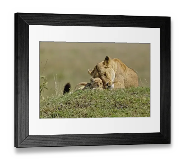 Framed Print : Africa, Kenya