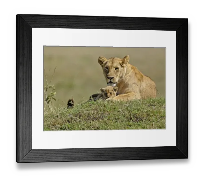 Framed Print : Africa, Kenya Framed Print : Africa, Kenya
