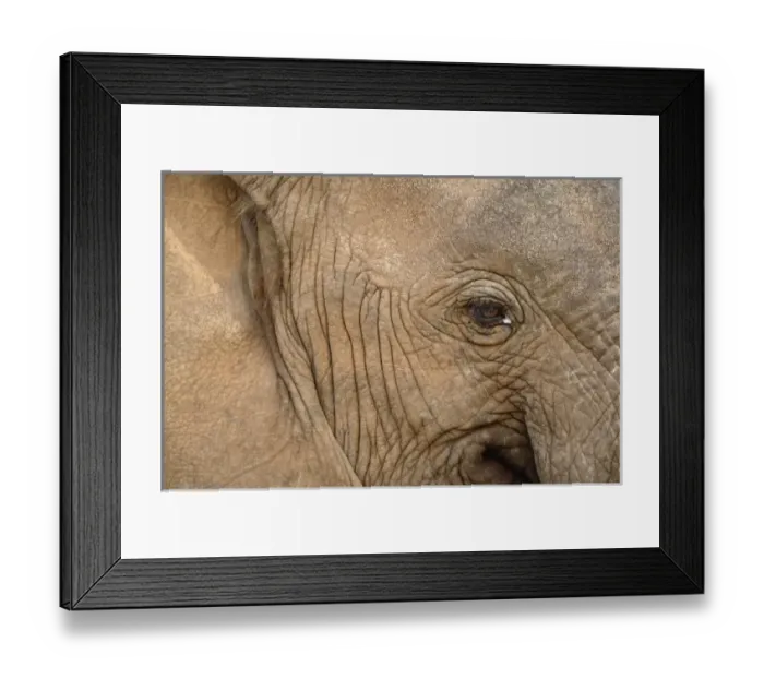 Framed Print : Africa, Kenya Framed Print : Africa, Kenya