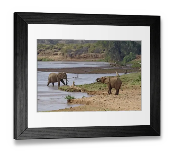 Framed Print : Africa, Kenya Framed Print : Africa, Kenya