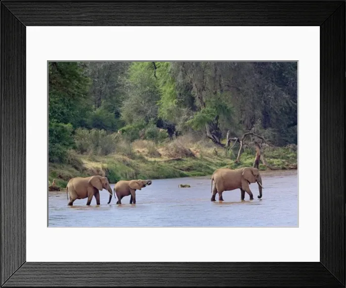Framed Print : Africa, Kenya