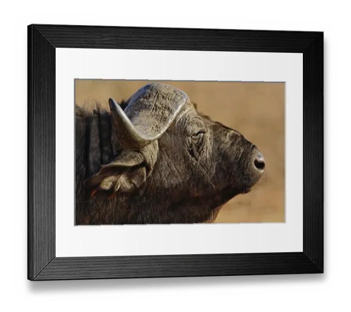 Framed Print : Africa, Kenya Framed Print : Africa, Kenya