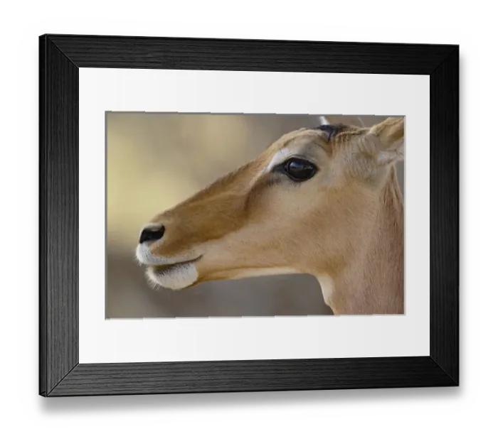 Framed Print : Africa, Kenya Framed Print : Africa, Kenya