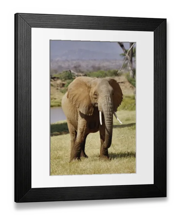Framed Print : Africa, Kenya