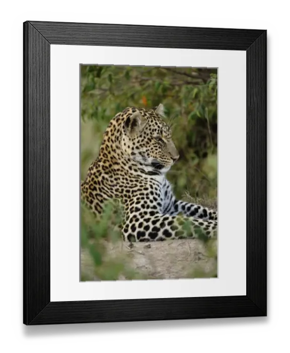 Framed Print : Africa, Kenya
