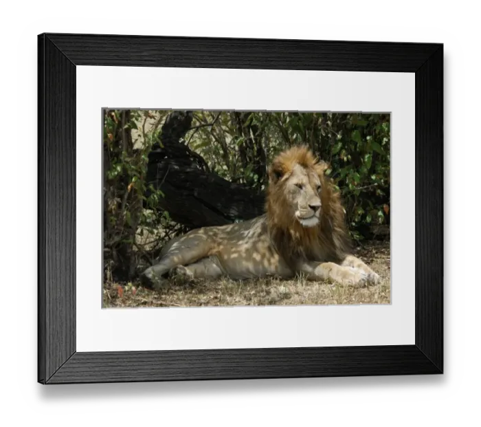 Framed Print : Africa, Kenya