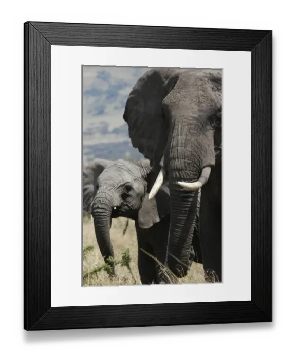 Framed Print : Africa, Kenya Framed Print : Africa, Kenya