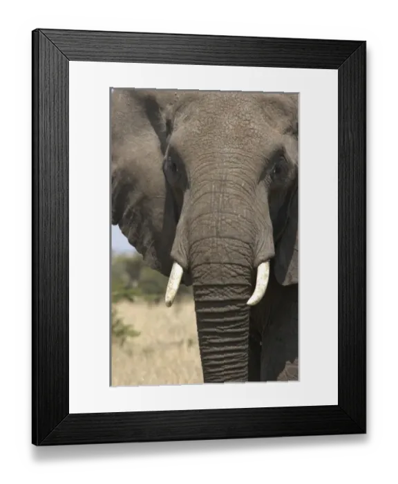 Framed Print : Africa, Kenya Framed Print : Africa, Kenya