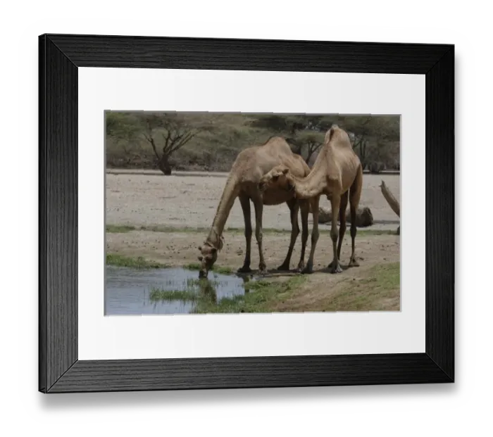 Framed Print : Africa, Kenya