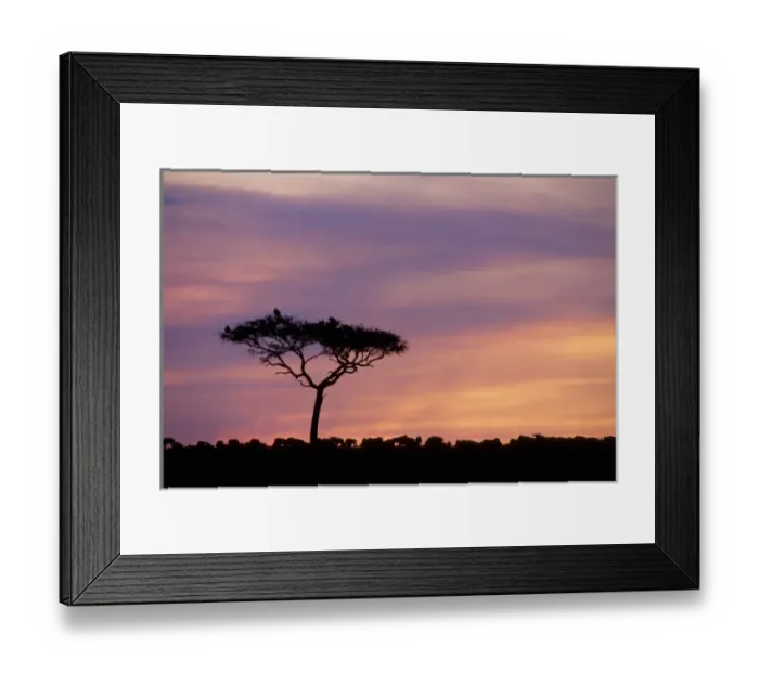 Framed Print : Kenya: Masai Mara Game Reserve, sunset with silhouettes of acacia trees, wildebeests and vultures Framed Print : Kenya: Masai Mara Game Reserve, sunset with silhouettes of acacia trees, wildebeests and vultures