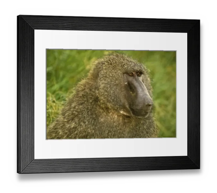 Framed Print : Africa, Kenya Framed Print : Africa, Kenya