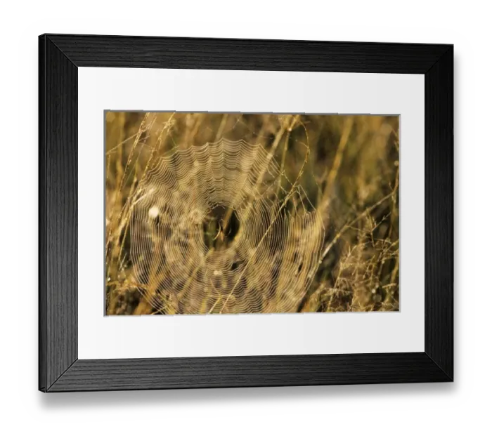 Framed Print : Africa, Kenya Framed Print : Africa, Kenya