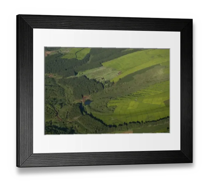 Framed Print : Kenya, Mau Forest, aerial view of deforestation and tea farms that serve as a barrier Framed Print : Kenya, Mau Forest, aerial view of deforestation and tea farms that serve as a barrier