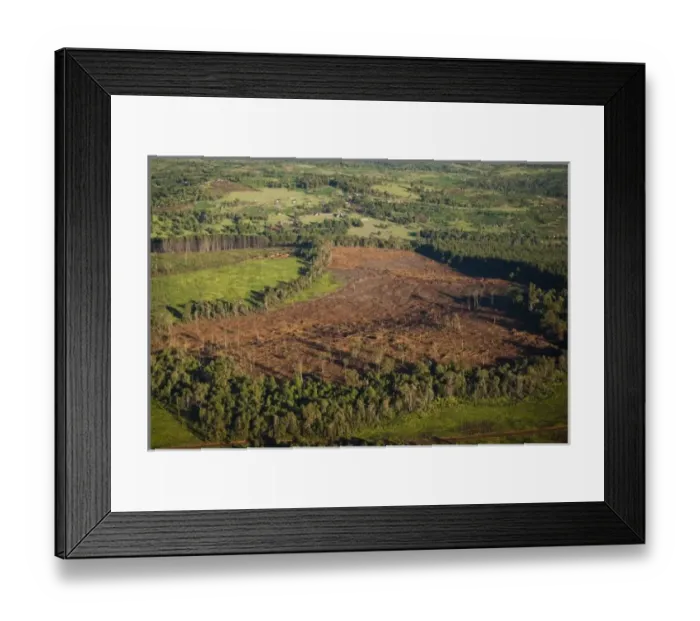 Framed Print : Kenya, Mau Forest, aerial view of deforestation during No Water No Life Mara River