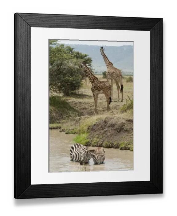 Framed Print : Africa, Kenya Framed Print : Africa, Kenya