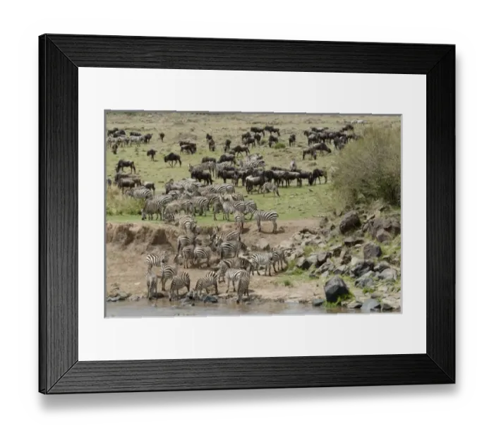 Framed Print : Africa, Kenya