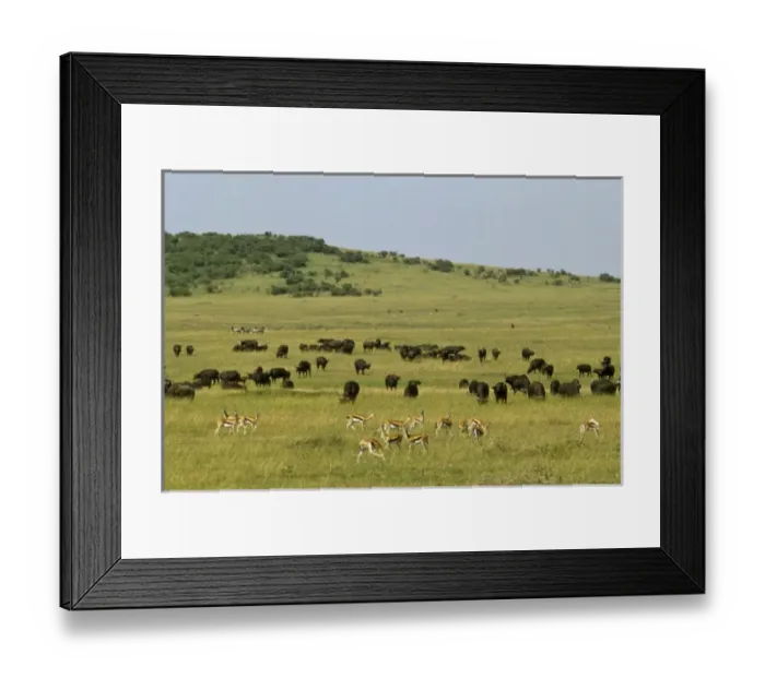 Framed Print : Africa, Kenya Framed Print : Africa, Kenya