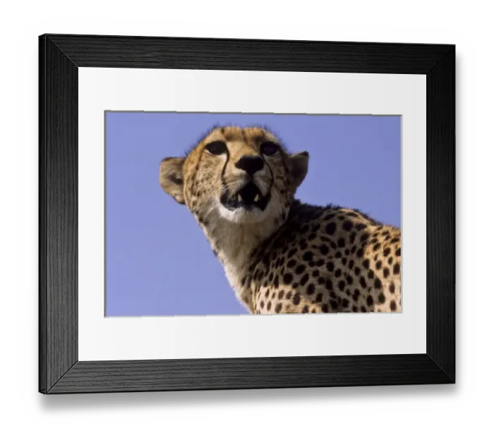 Framed Print : Africa, Kenya Framed Print : Africa, Kenya