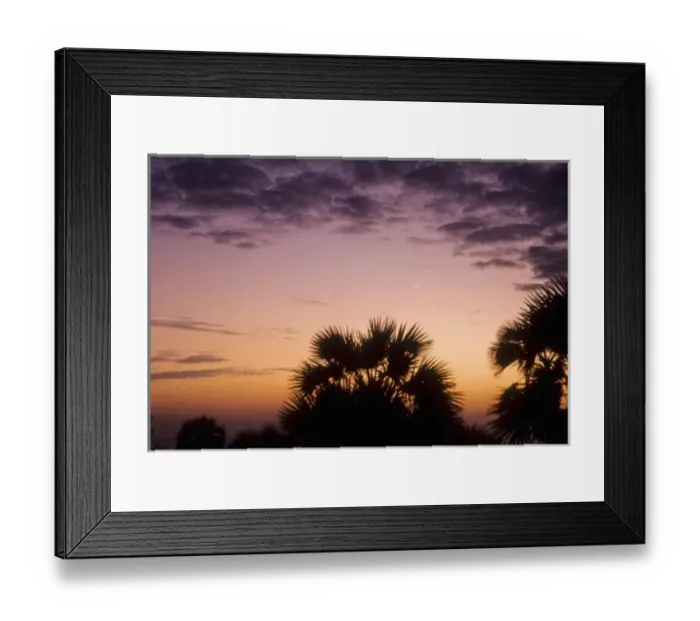 Framed Print : Kenya, Lake Turkana, Lobolo Camp, new moon and palms at sunset
