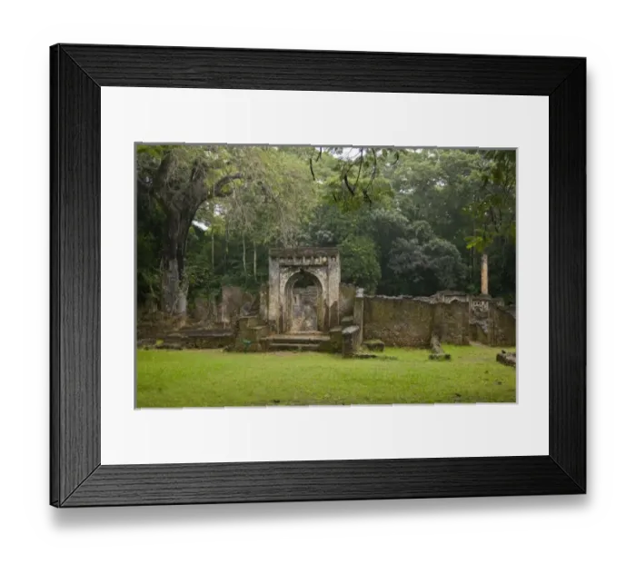 Framed Print : Africa. Kenya. Ruins at Gedi, an ancient Swahili city near Mombasa Framed Print : Africa. Kenya. Ruins at Gedi, an ancient Swahili city near Mombasa